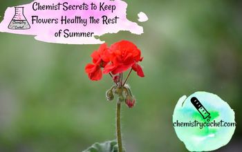 ¡11 Secretos importantes para mantener las flores sanas el resto del verano!