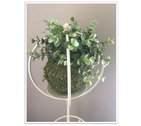 topiary in urn