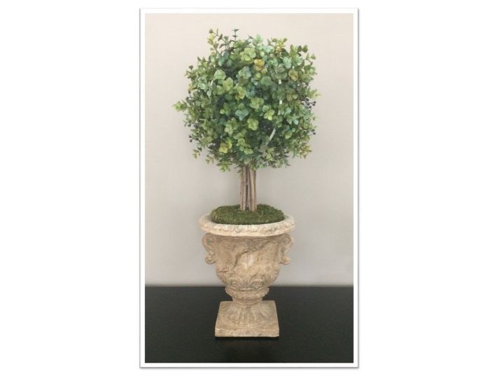 topiary in urn