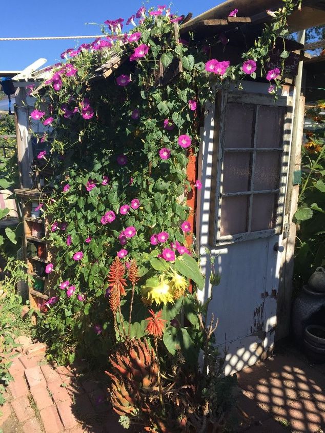 antique door garden shack