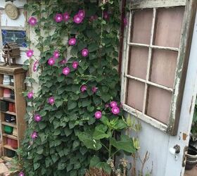 antique door garden shack