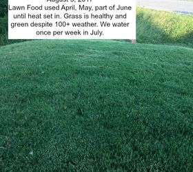 cheap safe homemade lawn food