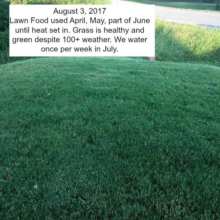 cheap safe homemade lawn food