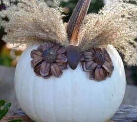 no carve owl pumpkins