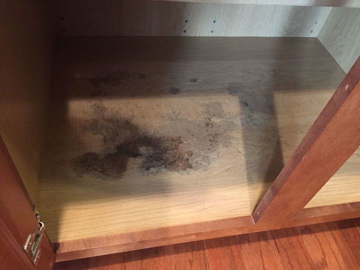 How To Find The Source Of Mildew Mold Hometalk how-to-find-the-source-of-mildew-mold-hometalk