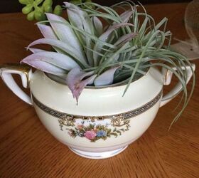 succulent teacups project