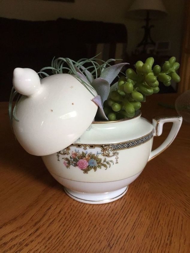 succulent teacups project