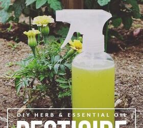 herb and essential oil pesticide