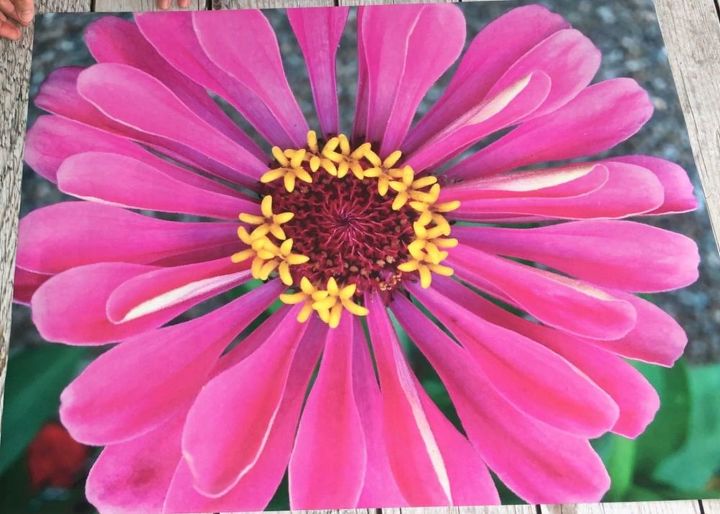 use your old cd cases for creative wall art