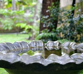 birdbath simple tips and tricks for cleaning