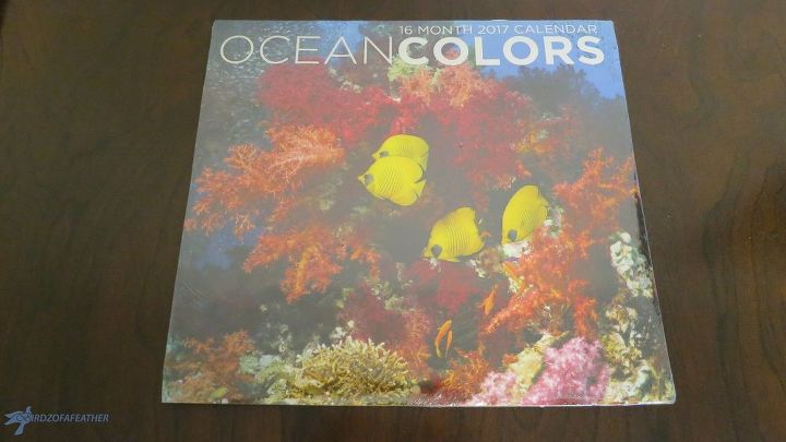 decoupaged medicine cabinet