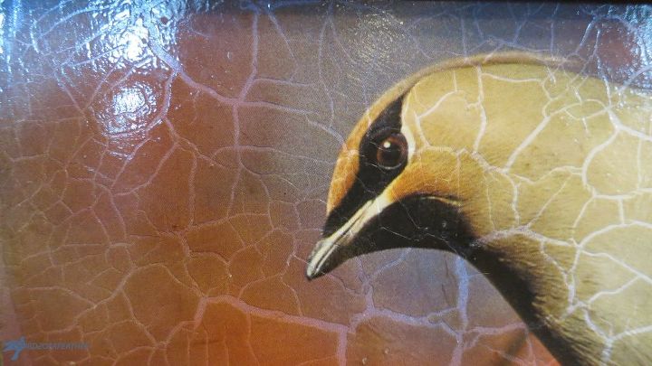 decoupaged medicine cabinet