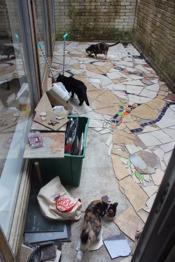 proyecto catio de mosaico patio de gatos
