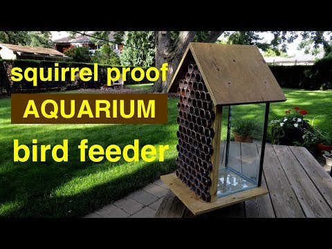 make a squirrel proof bird feeder from a 10 gallon aquarium