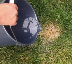 fix burnt grass dog urine spots with this easy solution