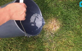 Fix Burnt Grass & Dog Urine Spots With This Easy Solution!