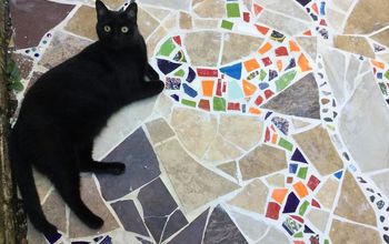 Proyecto Catio de mosaico (Patio de gatos)