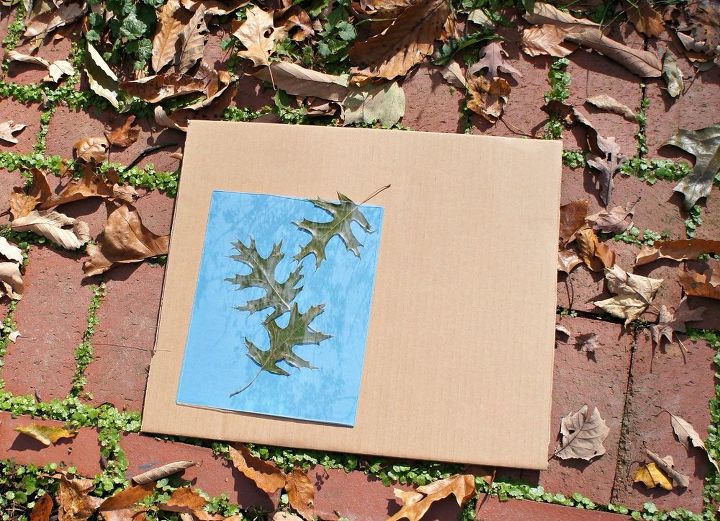 faa arte com a natureza impresses do sol, Coloque as folhas no papel Sunprint