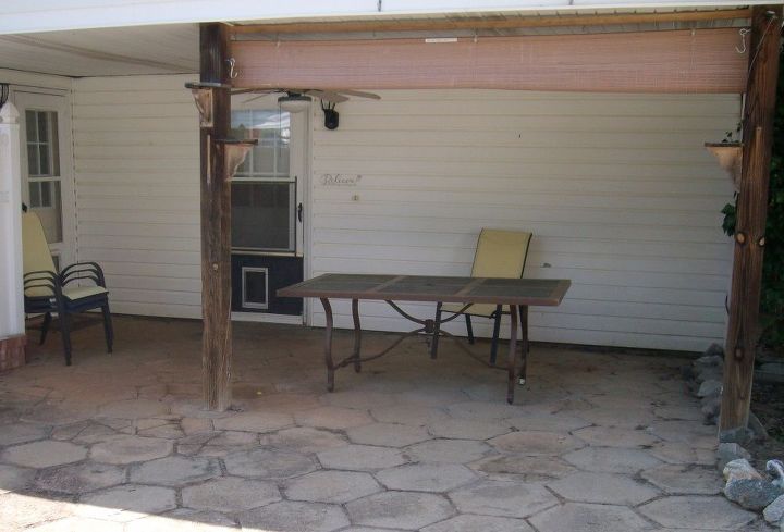 look at her bloom n patio