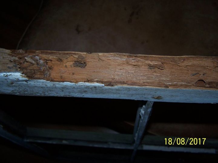 q how can i stop dry rot on an old window frame