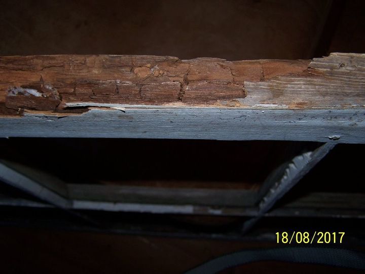 q how can i stop dry rot on an old window frame