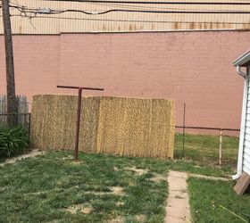 privacy fencing on a budget