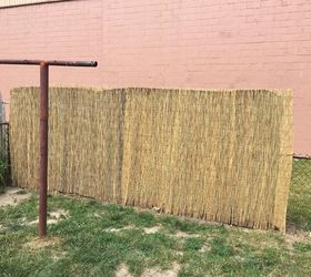 privacy fencing on a budget