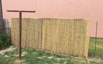 PRIVACY FENCING ON A BUDGET