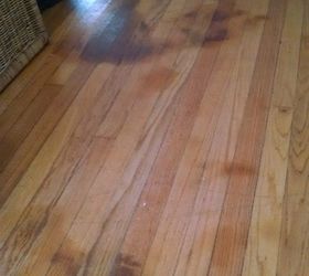 q how to get dog pee stains out of hardwood floors