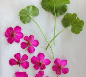 Quick Way to Preserve Your Summer Blooms Hometalk