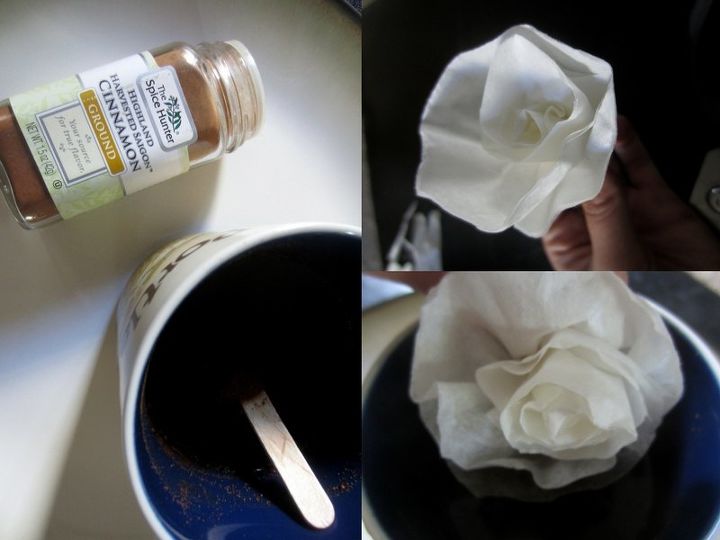 flores otoales de canela con filtro de caf fciles de hacer