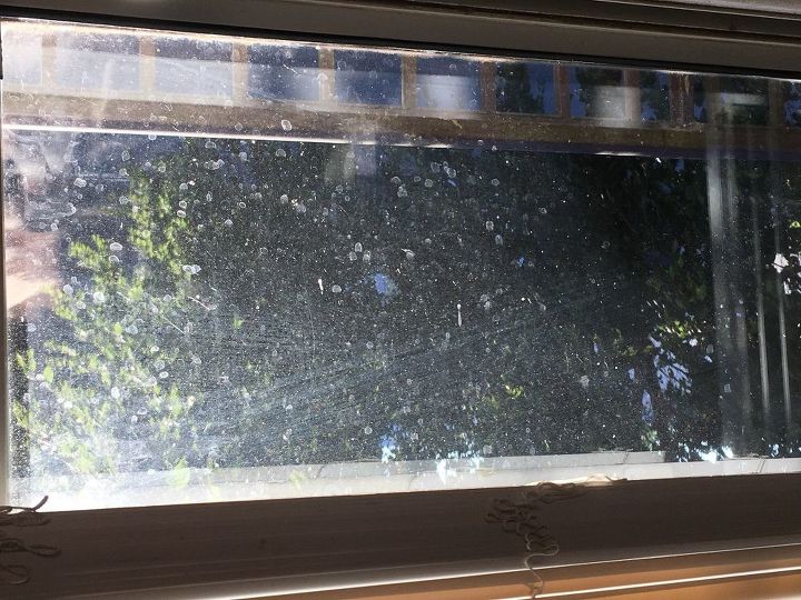 limpador de janelas perfeito
