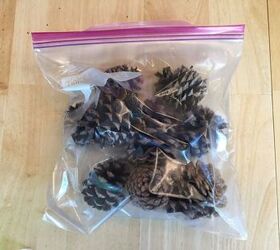 easy scented pinecones