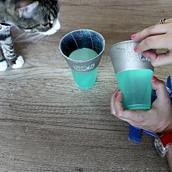 proyectos de bricolaje para gatos soporte para vasos de agua para gatos