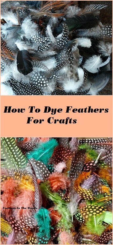 how to dye feathers cheaply