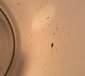tar in my dryer