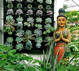 10 Ways To Hang Your Succulents