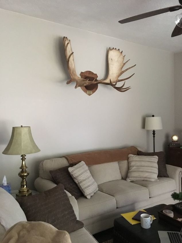 q how to decorate around moose antlers