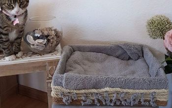 Ideas de muebles para gatos DIY: Cómo hacer una cama para gatos