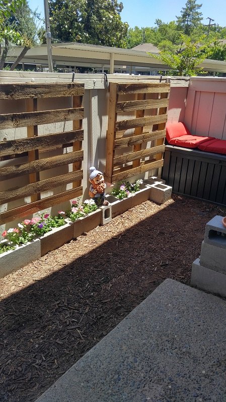 q how can i keep my small patio dog hair and smell free