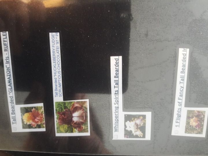 laminated photo garden stakes