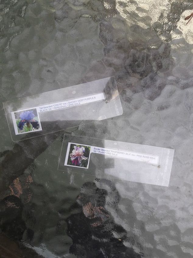 laminated photo garden stakes