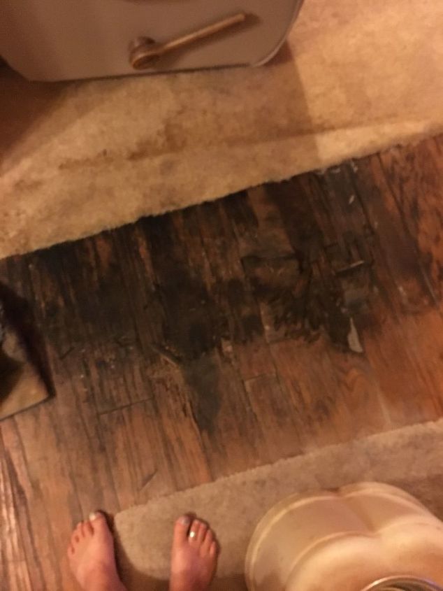 q wood floor and clogged sick
