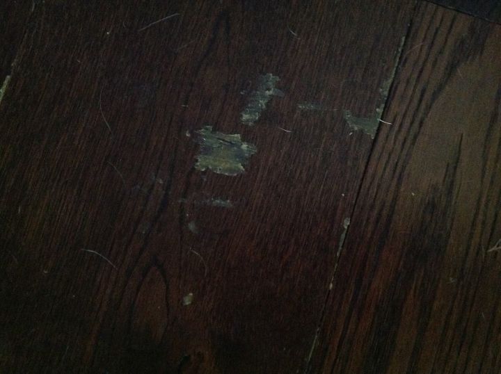 Remove Old Dried Robert 1407 Floor Adhesive Hometalk Dried Robert 1407 Floor Adhesive, Roberts 1407 Flooring Adhesive