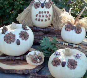s 13 popular ways to decorate a pumpkin with little or no carving, Make adorable pumpkin pine cone owls