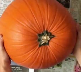 21 Amazing Pumpkin Ideas That You Need to See Before Halloween