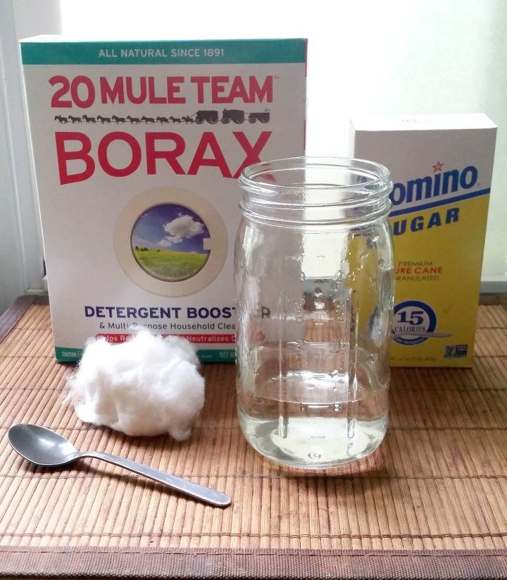 easy diy remedies for your 7 most hated bugs, Get Rid of Ants With A Sweet DIY Solution