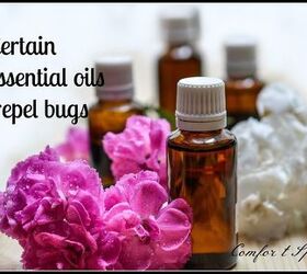 easy diy remedies for your 7 most hated bugs, Repel Mosquitoes With Essential Oils