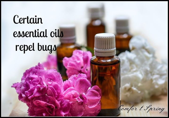 easy diy remedies for your 7 most hated bugs, Repel Mosquitoes With Essential Oils