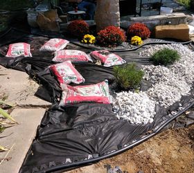 landscaping with rocks and mums